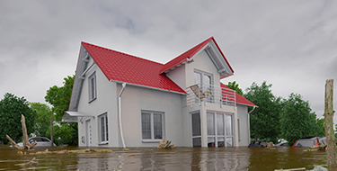 Flood Insurance